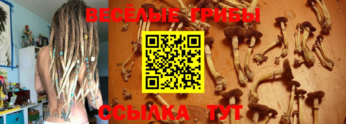 Псилоцибиновые грибы GOLDEN TEACHER Мичуринск