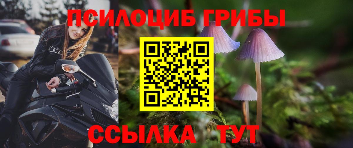 Галлюциногенные грибы ЛСД  Псилоцибиновые грибы мухоморы  Мичуринск  Вход с VPN 